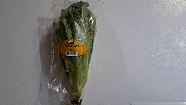 Prairie Lane Farm Fresh greens