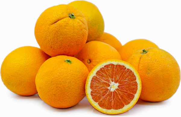 Conventional - Bulk Citrus