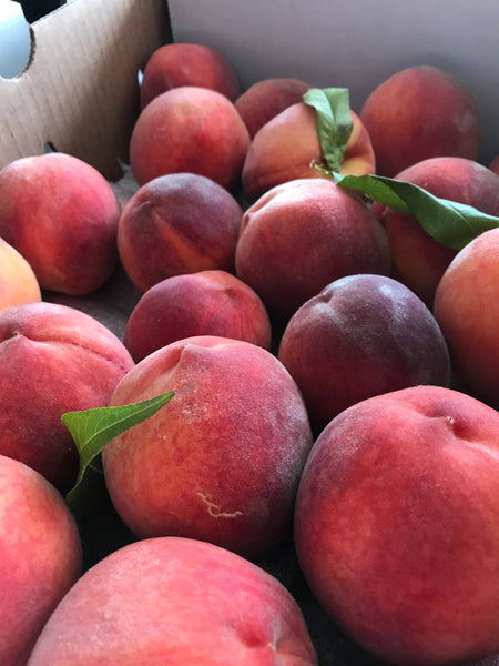🍑 Bluebird 🟢 Organic Palisade Peaches!!