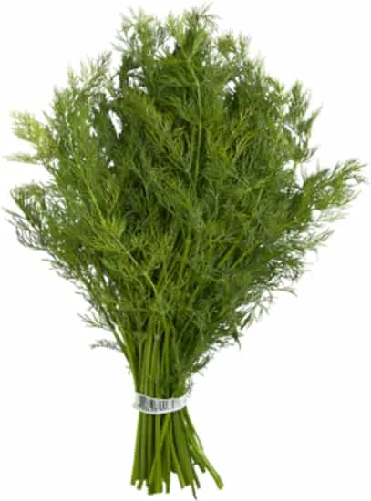 Canning Ingredients