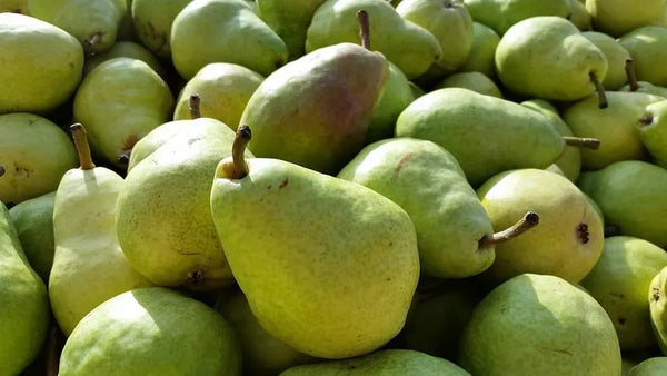 Conventional- Pears