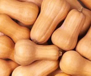 Conventional - Winter Squash