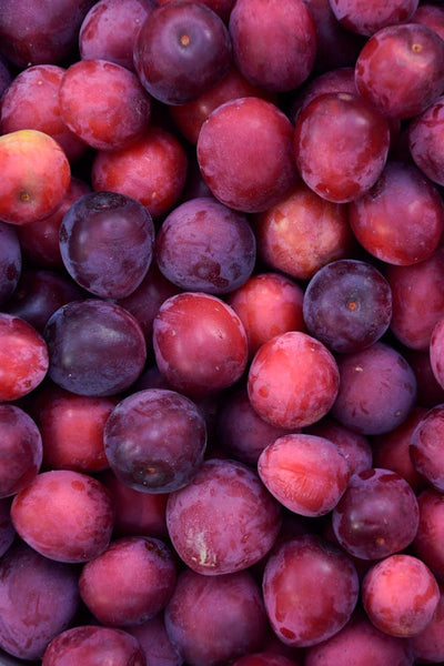 Organic -Bulk Stone fruits