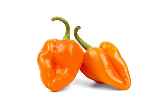 Conventional - Green Chilis & Peppers