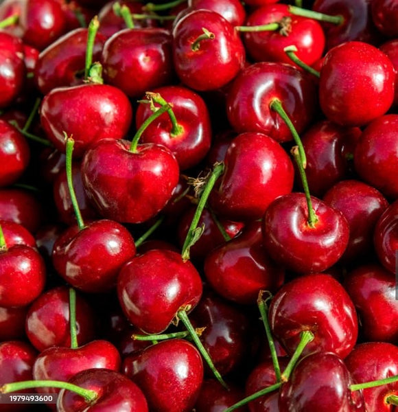 🍒 Fresh Cherries