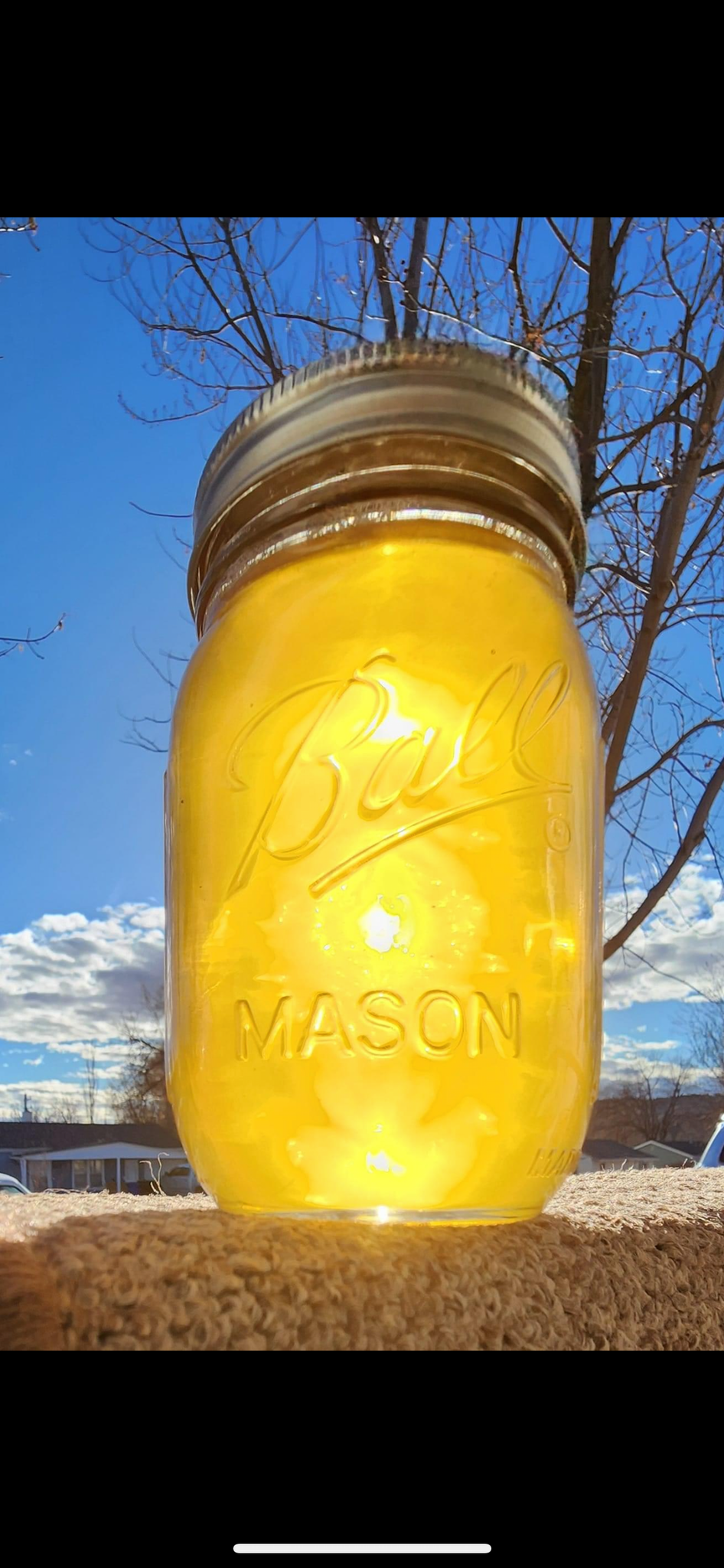 The Honey Man Black Hills Honey 🍯