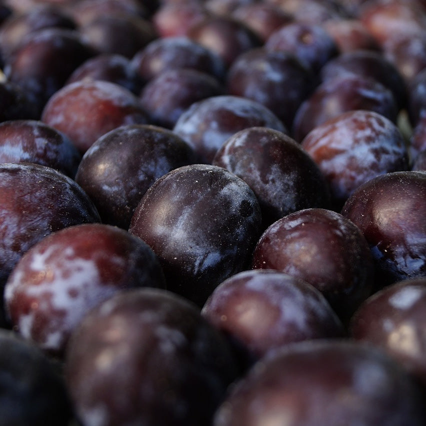 Conventional Black Plums