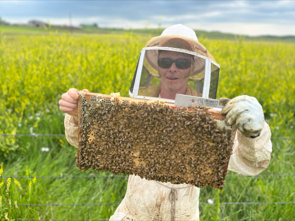 The Honey Man Black Hills Honey 🍯