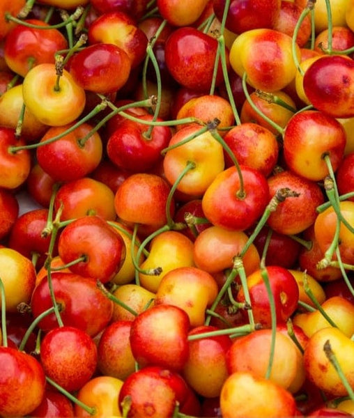 🍒 Fresh Cherries