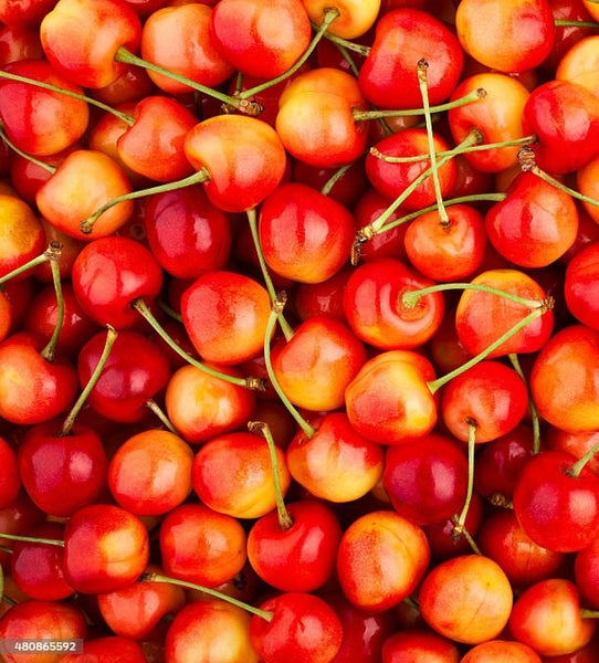 🍒 Fresh Cherries