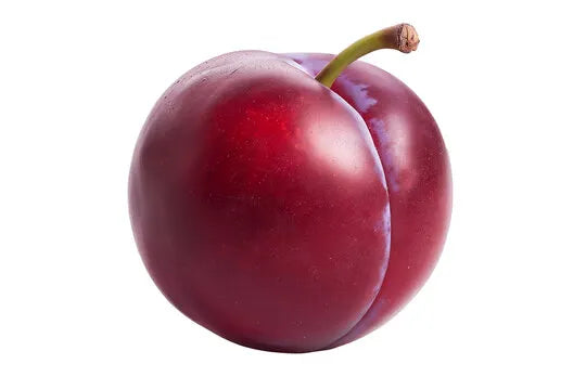 Conventional Plums