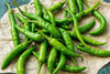 Conventional - Green Chilis & Peppers
