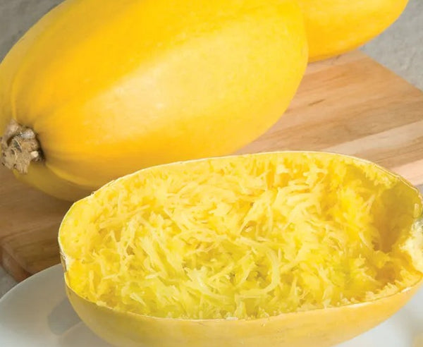 Conventional - Winter Squash