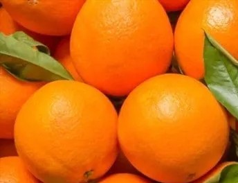 Organic - Bulk Citrus 🍊🍋