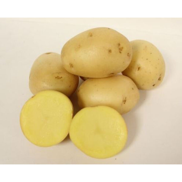 Conventional - Potatoes