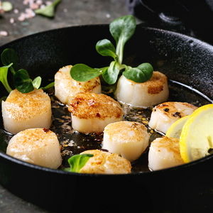 Dry Atlantic Scallops  - All Natural